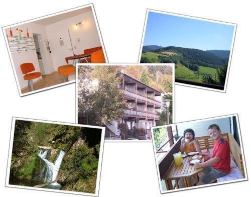 Ferienwohnung Christa Bad Peterstal-Griesbach Exteriér fotografie