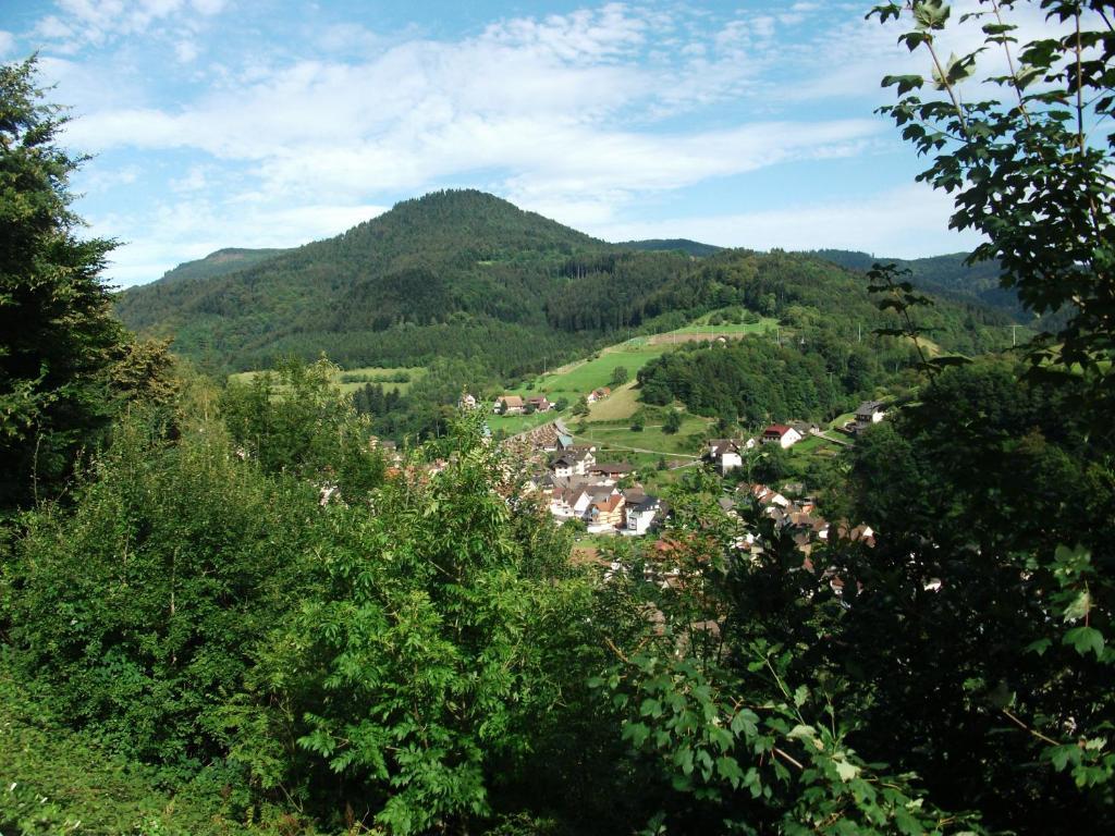 Ferienwohnung Christa Bad Peterstal-Griesbach Exteriér fotografie